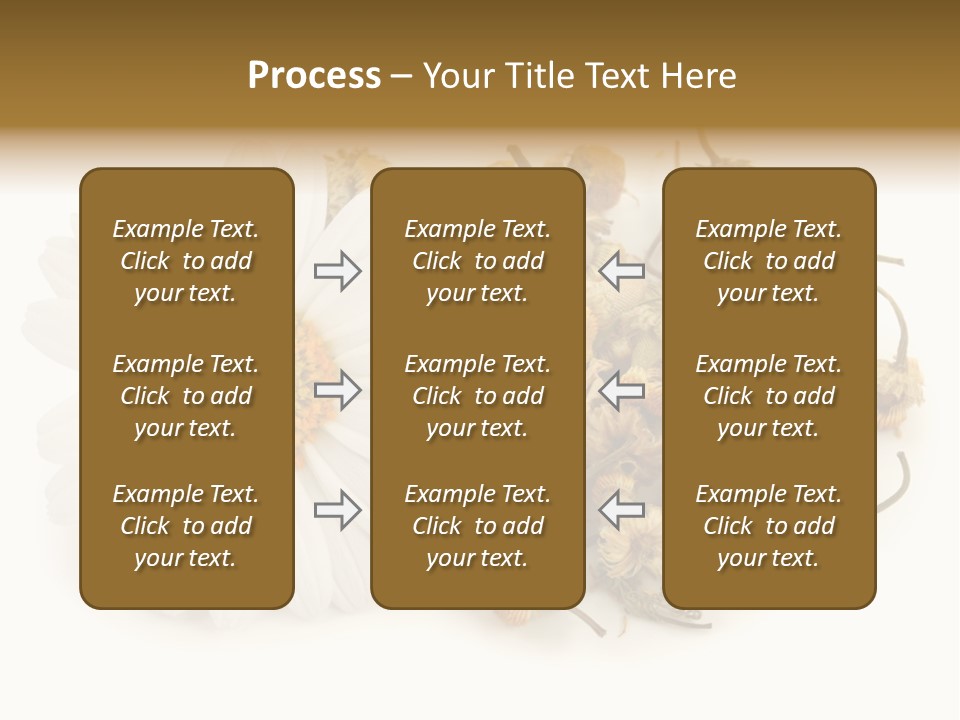 White Natural Nature PowerPoint Template