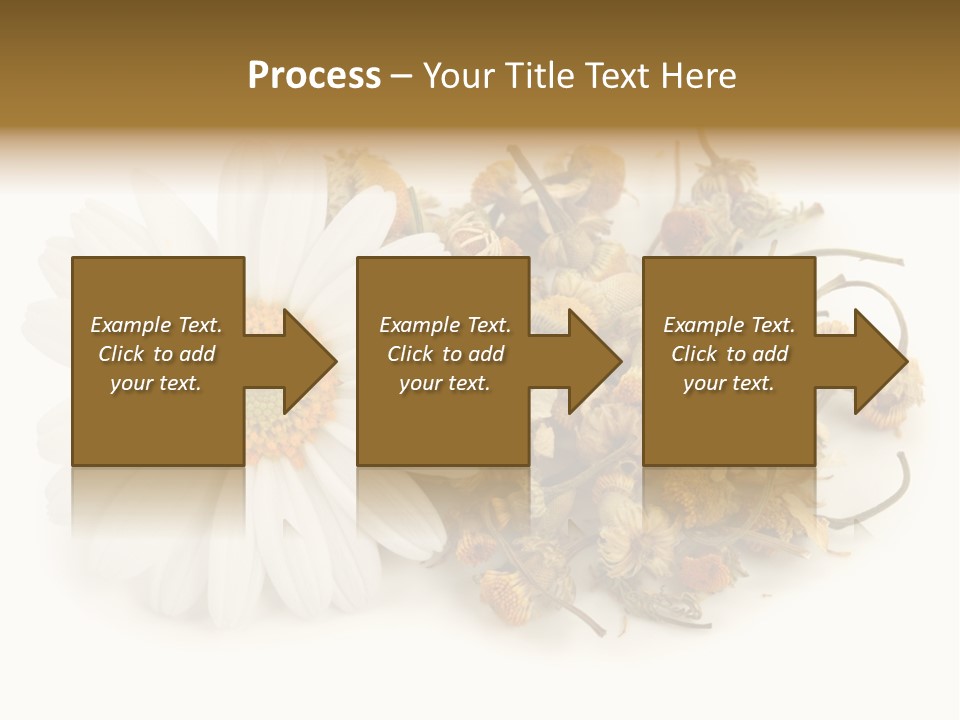 White Natural Nature PowerPoint Template