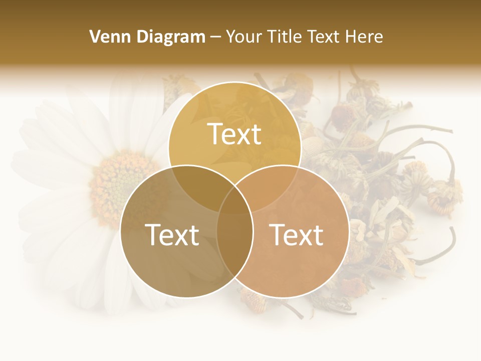 White Natural Nature PowerPoint Template