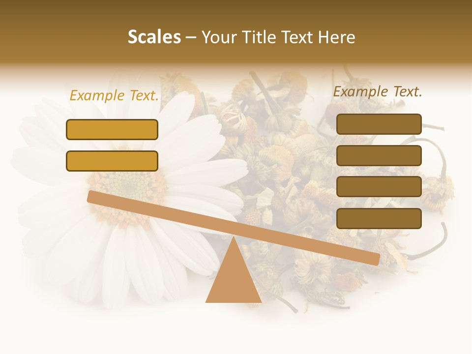 White Natural Nature PowerPoint Template