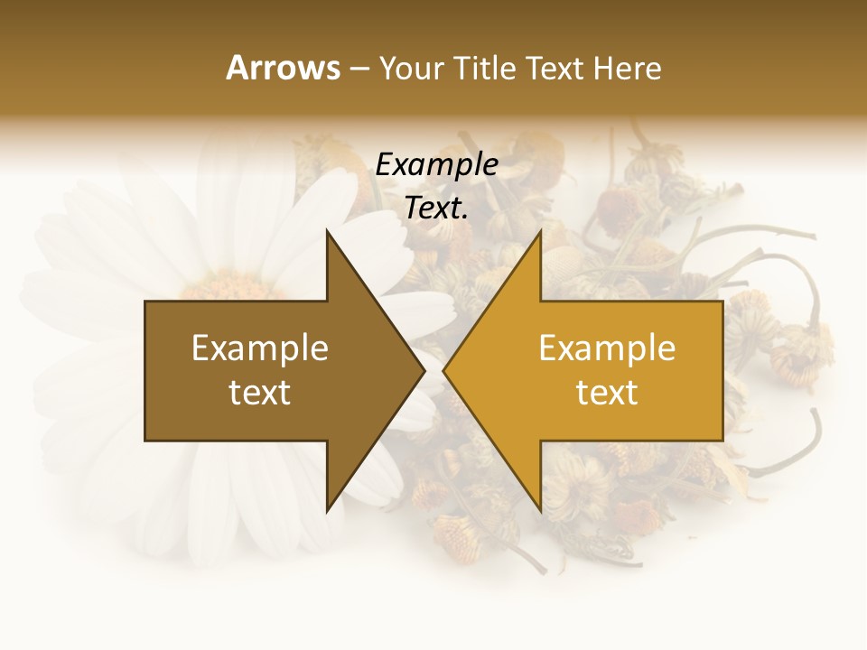 White Natural Nature PowerPoint Template