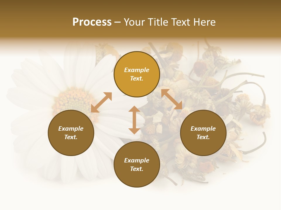 White Natural Nature PowerPoint Template