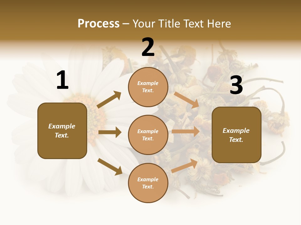 White Natural Nature PowerPoint Template