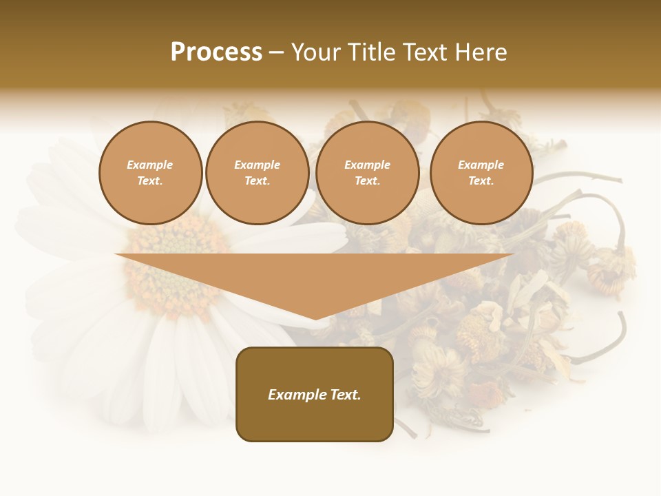 White Natural Nature PowerPoint Template