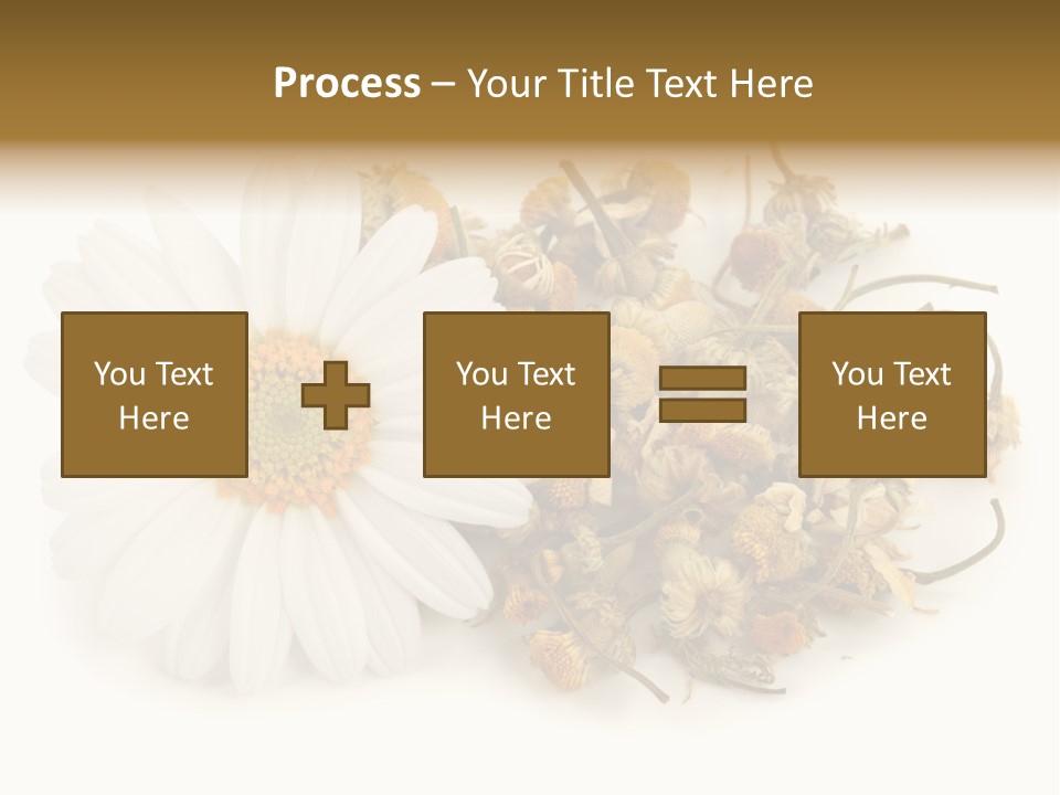 White Natural Nature PowerPoint Template