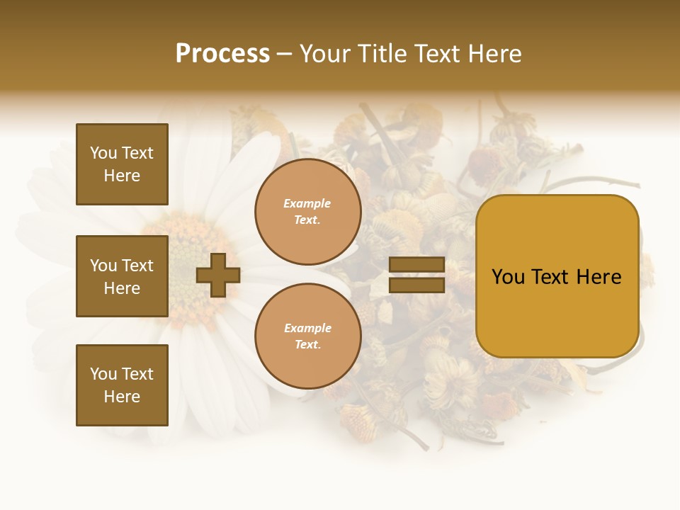 White Natural Nature PowerPoint Template