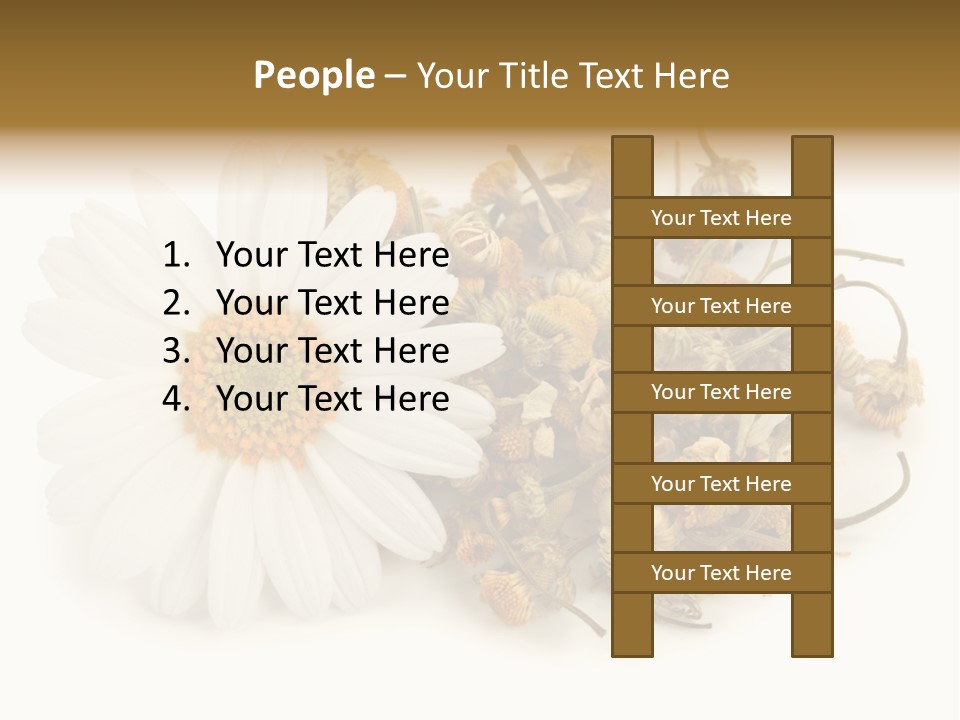 White Natural Nature PowerPoint Template