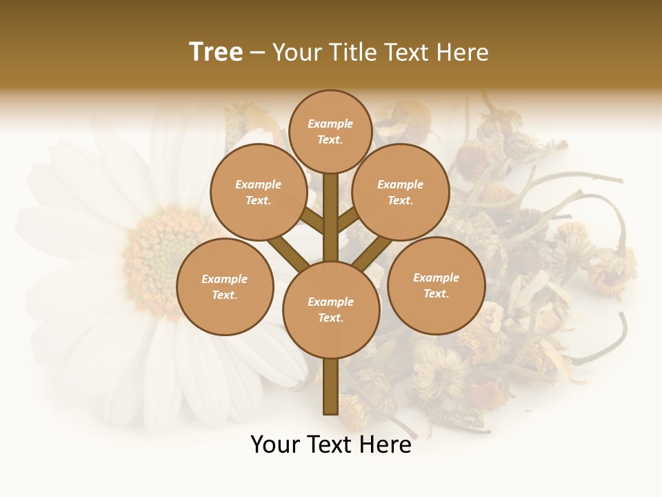 White Natural Nature PowerPoint Template