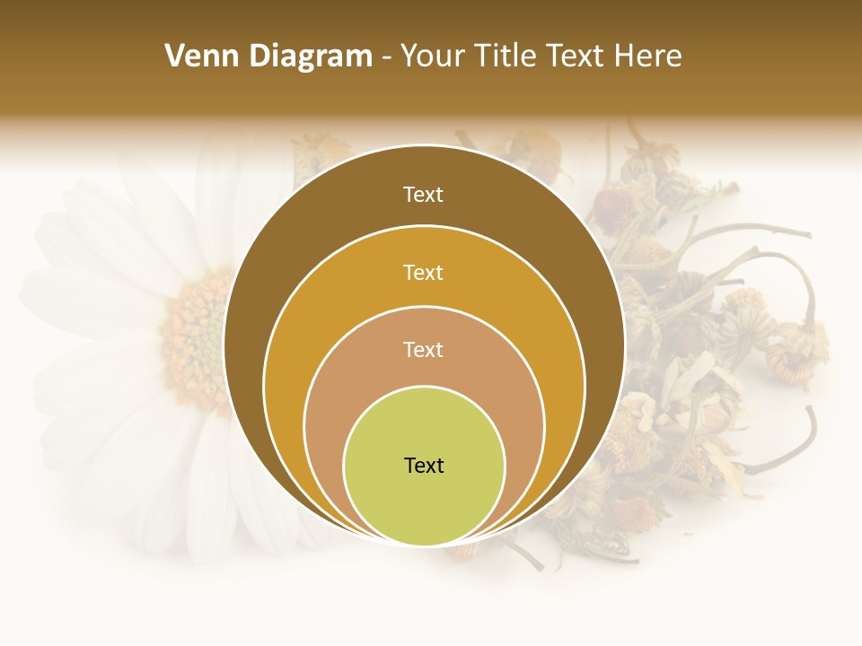 White Natural Nature PowerPoint Template