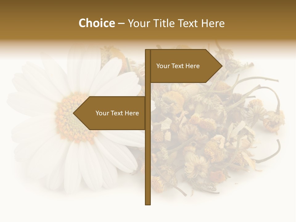 White Natural Nature PowerPoint Template