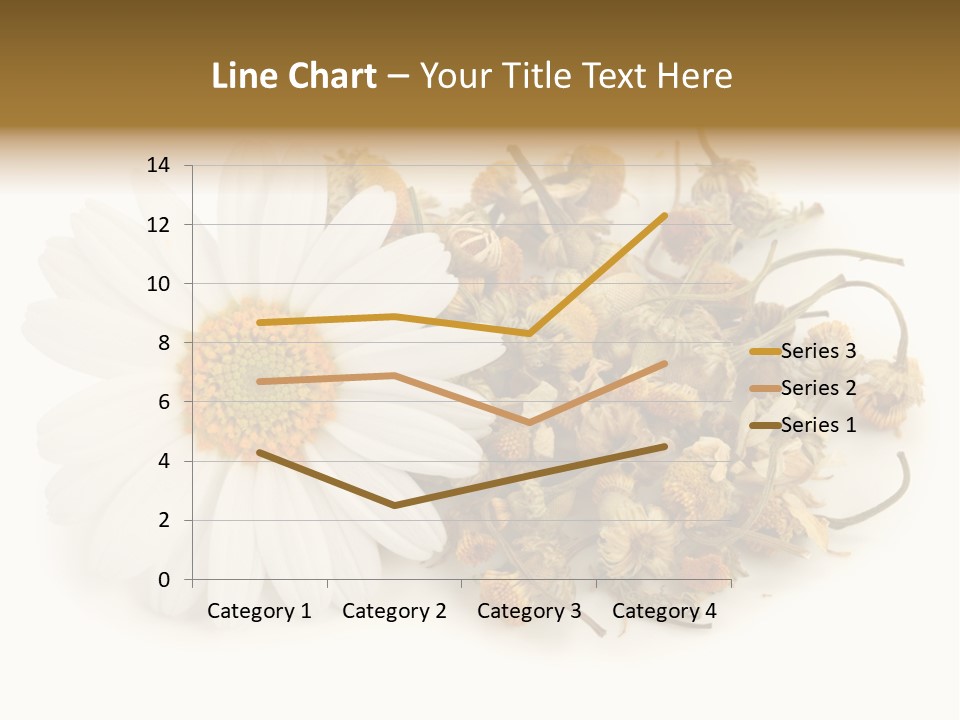 White Natural Nature PowerPoint Template