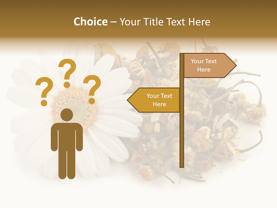 White Natural Nature PowerPoint Template