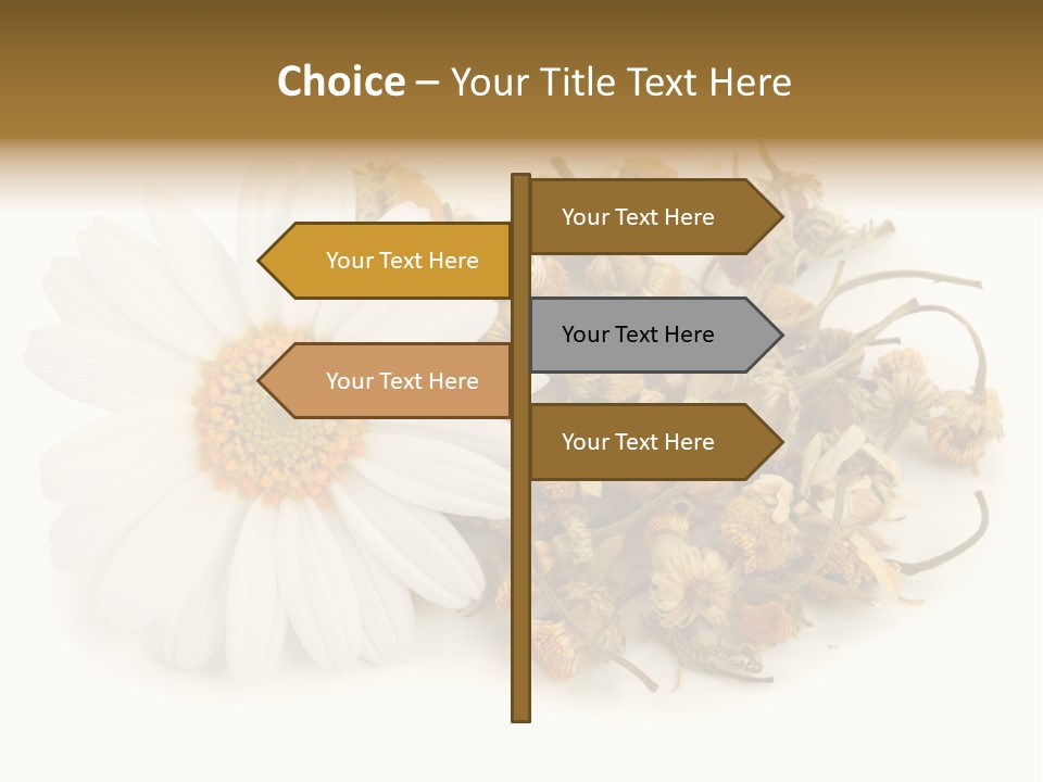 White Natural Nature PowerPoint Template