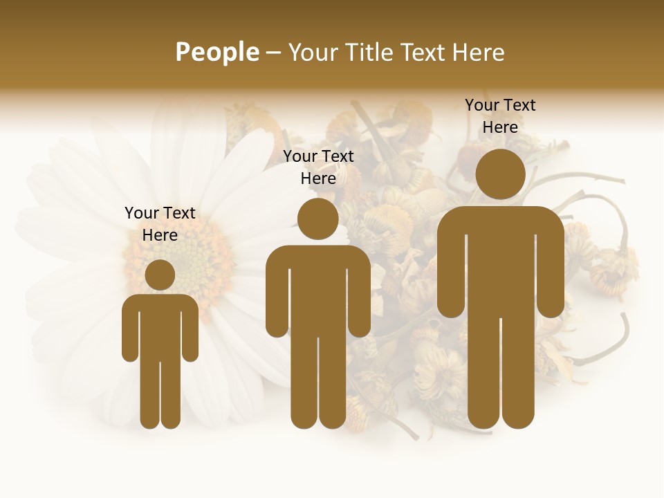 White Natural Nature PowerPoint Template