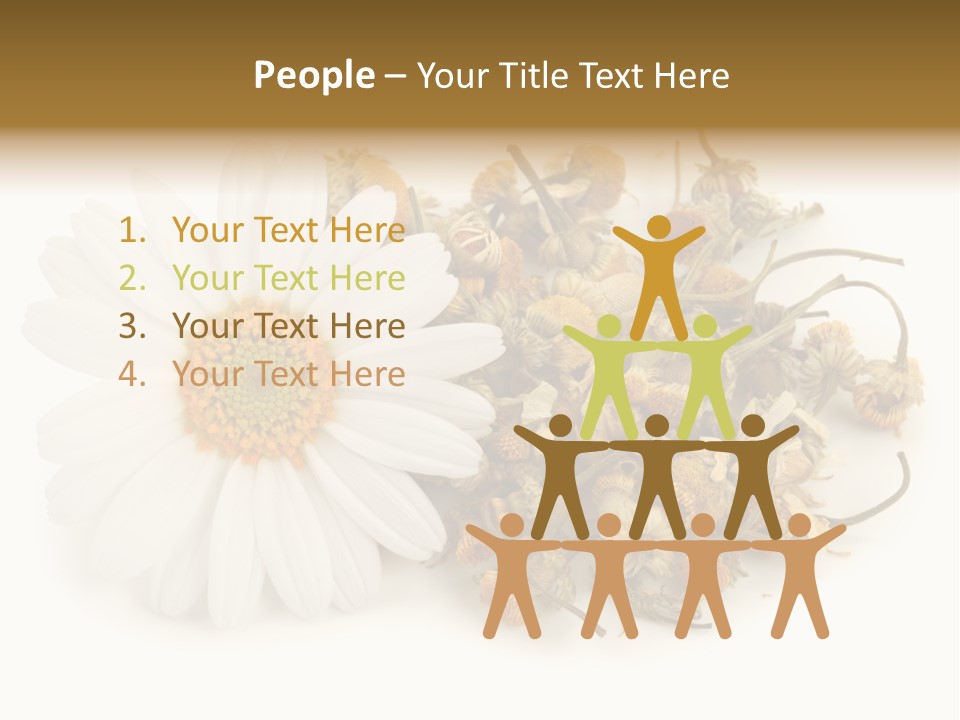 White Natural Nature PowerPoint Template