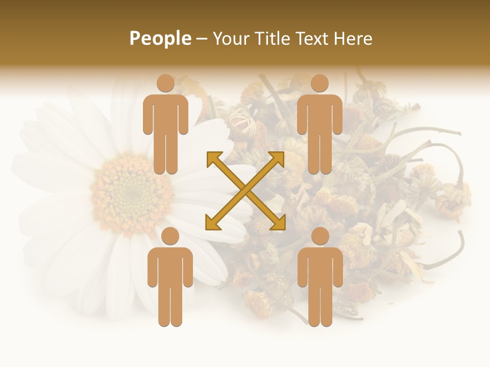 White Natural Nature PowerPoint Template