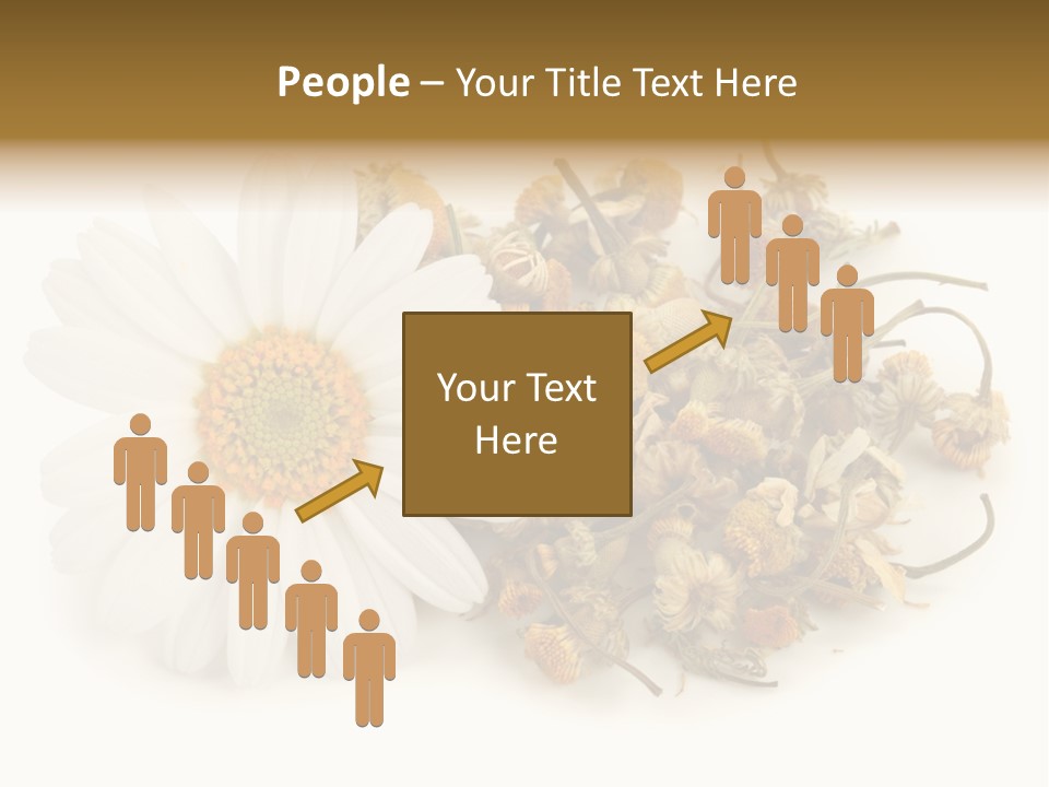 White Natural Nature PowerPoint Template