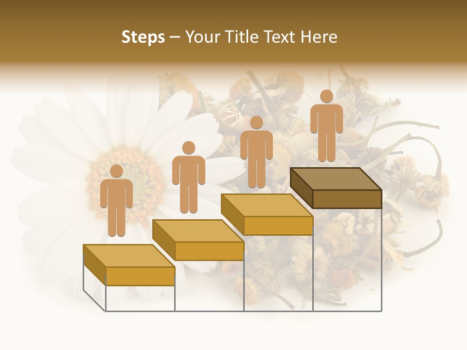 White Natural Nature PowerPoint Template