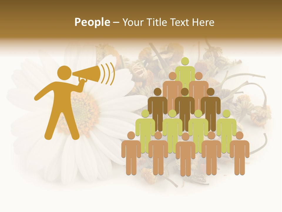 White Natural Nature PowerPoint Template