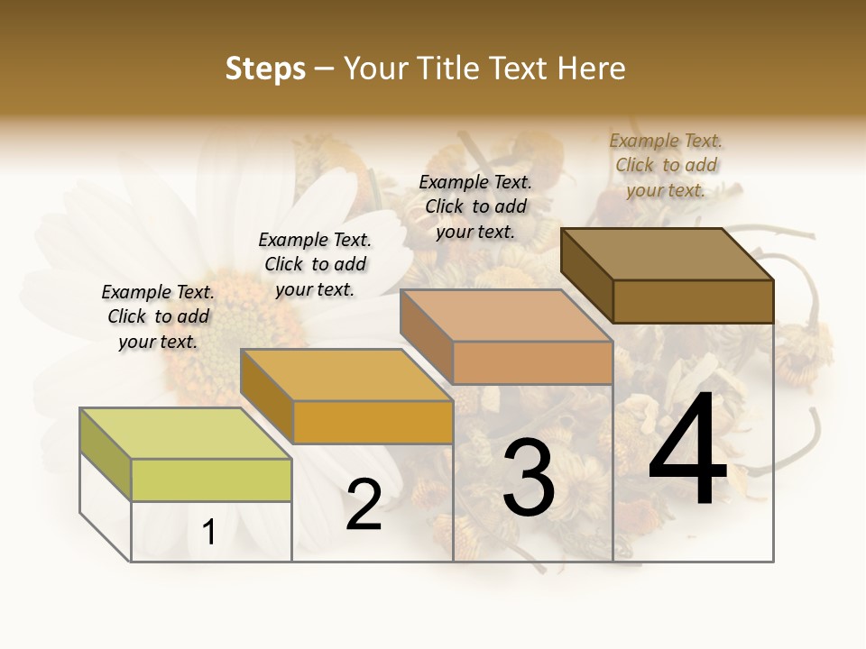 White Natural Nature PowerPoint Template