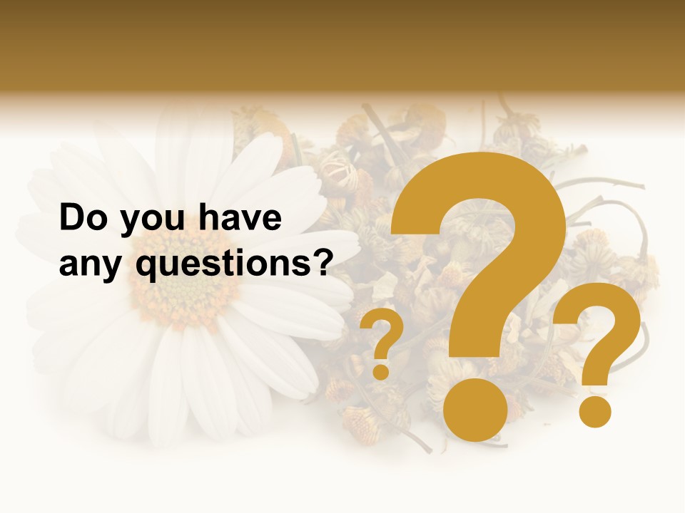 White Natural Nature PowerPoint Template