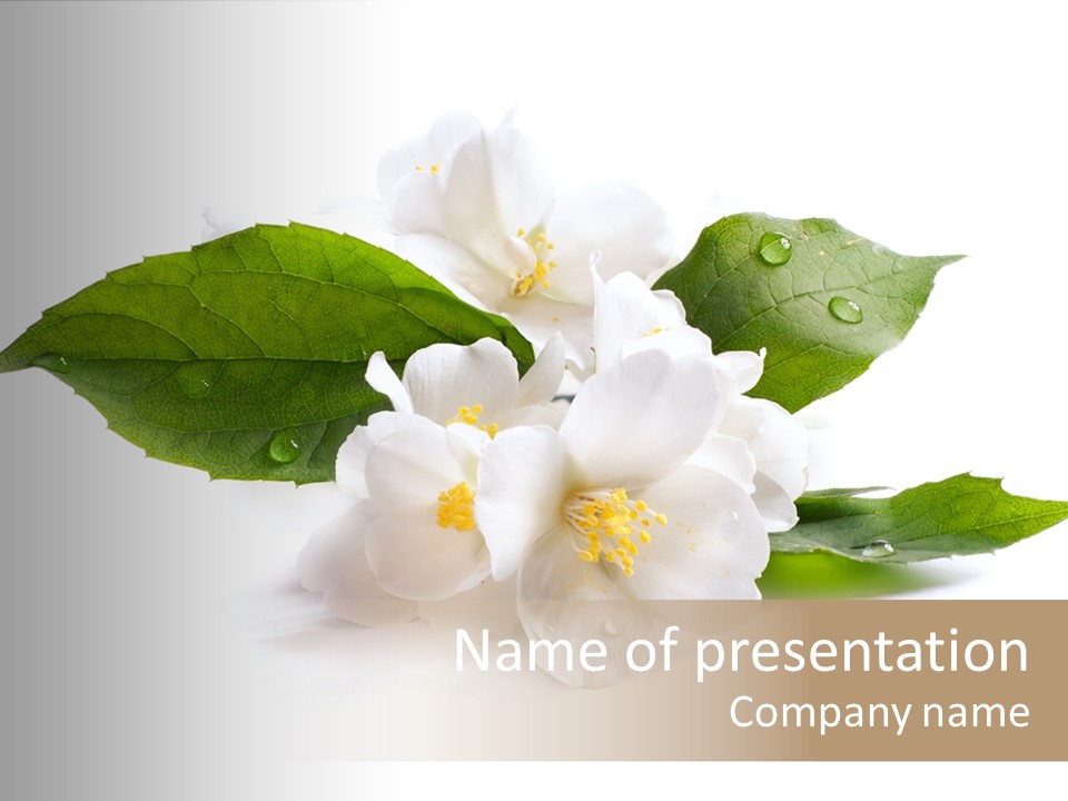 Nature Formal Background PowerPoint Template