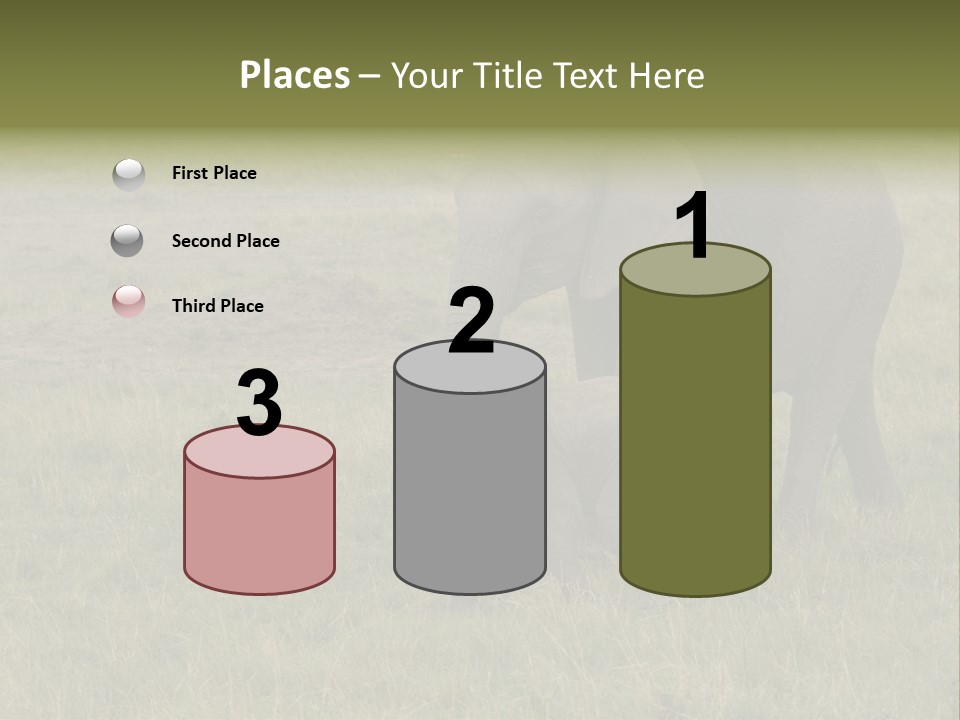 Grande Safari Elefante PowerPoint Template