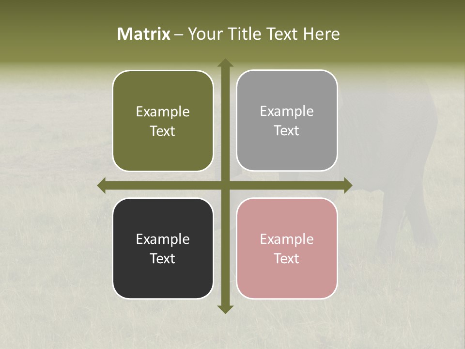 Grande Safari Elefante PowerPoint Template