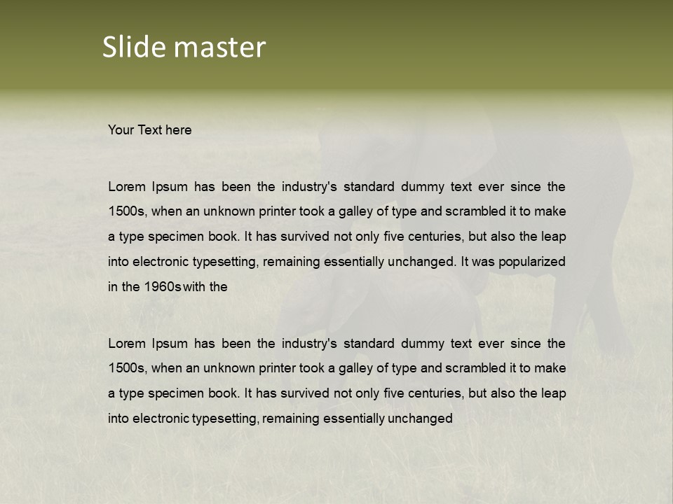 Grande Safari Elefante PowerPoint Template