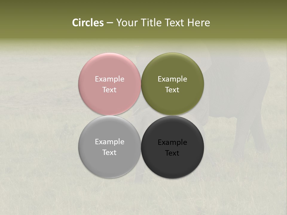 Grande Safari Elefante PowerPoint Template