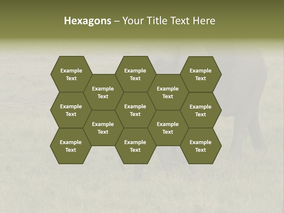 Grande Safari Elefante PowerPoint Template