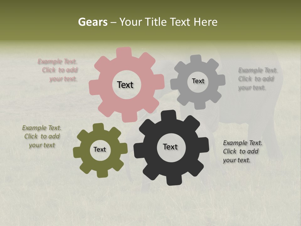 Grande Safari Elefante PowerPoint Template