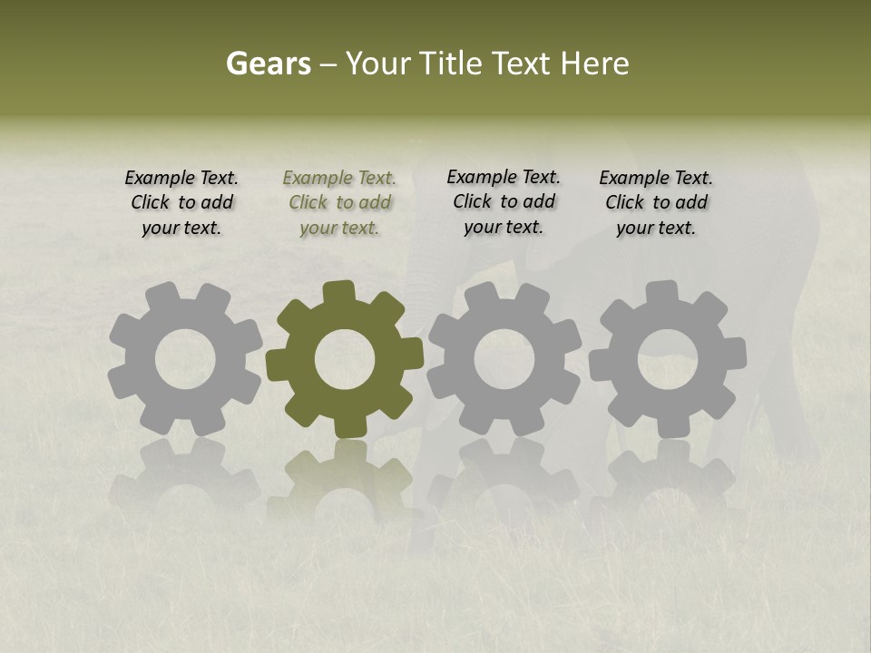 Grande Safari Elefante PowerPoint Template