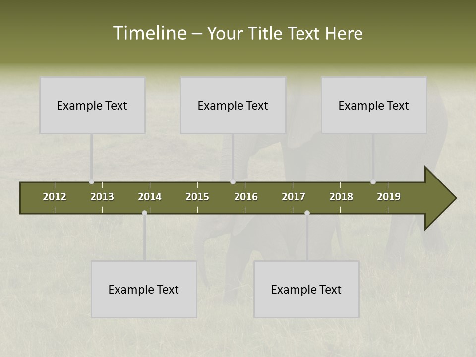 Grande Safari Elefante PowerPoint Template