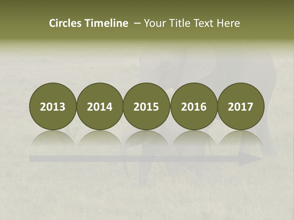 Grande Safari Elefante PowerPoint Template