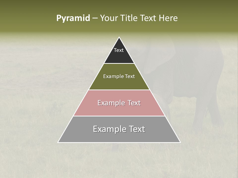 Grande Safari Elefante PowerPoint Template