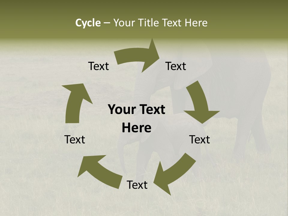 Grande Safari Elefante PowerPoint Template