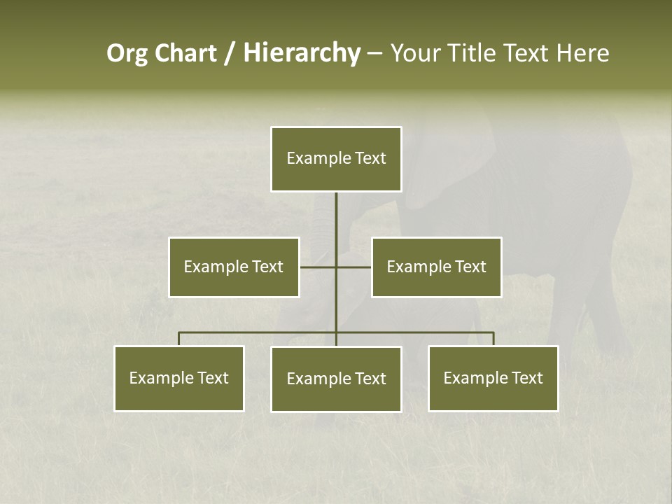 Grande Safari Elefante PowerPoint Template