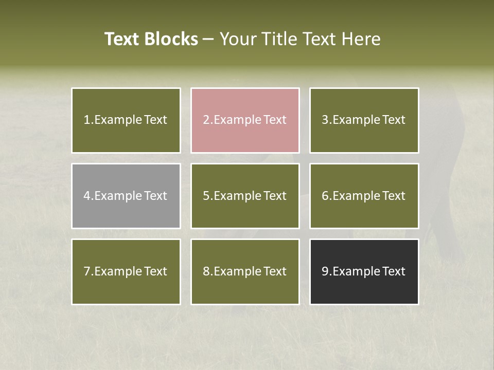 Grande Safari Elefante PowerPoint Template