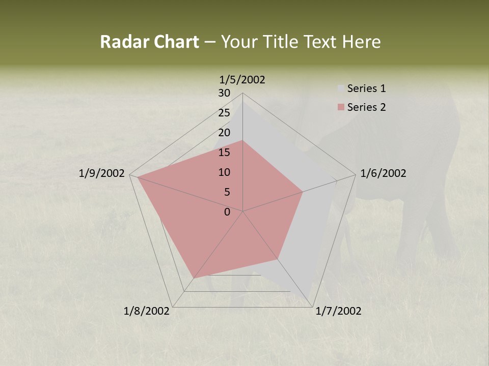 Grande Safari Elefante PowerPoint Template