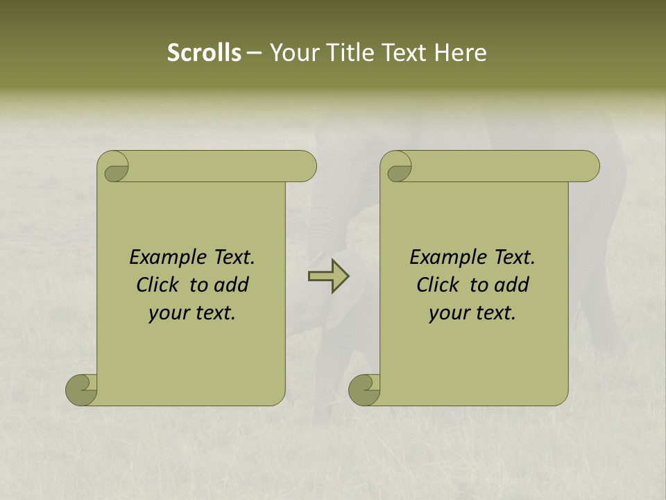 Grande Safari Elefante PowerPoint Template