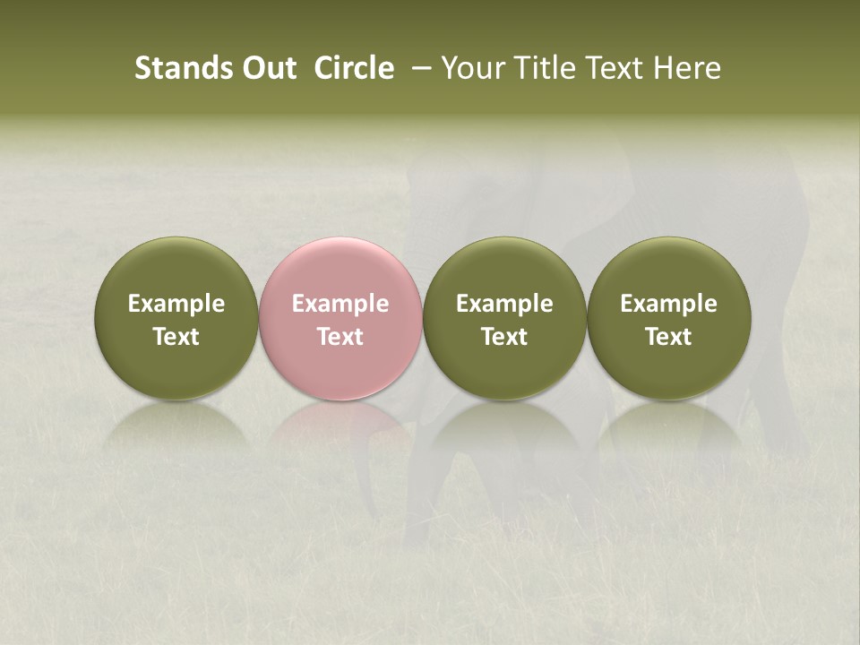 Grande Safari Elefante PowerPoint Template