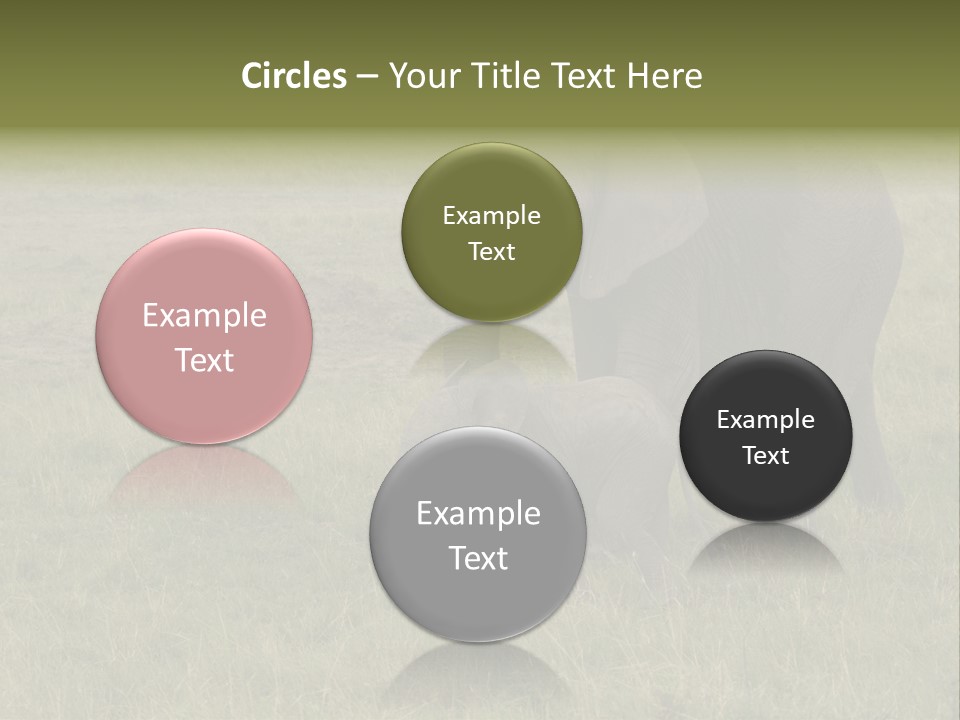 Grande Safari Elefante PowerPoint Template