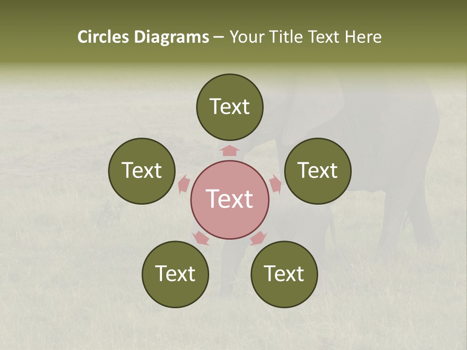 Grande Safari Elefante PowerPoint Template