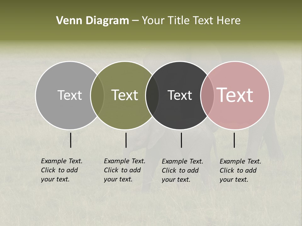 Grande Safari Elefante PowerPoint Template