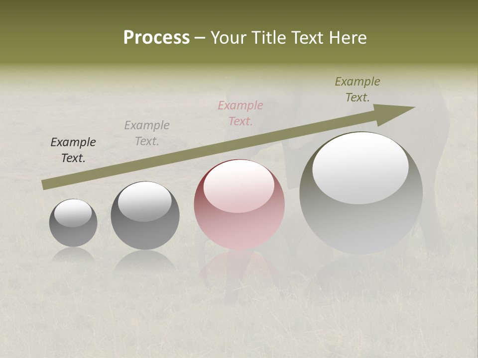 Grande Safari Elefante PowerPoint Template