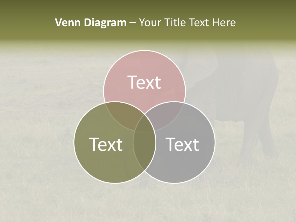 Grande Safari Elefante PowerPoint Template