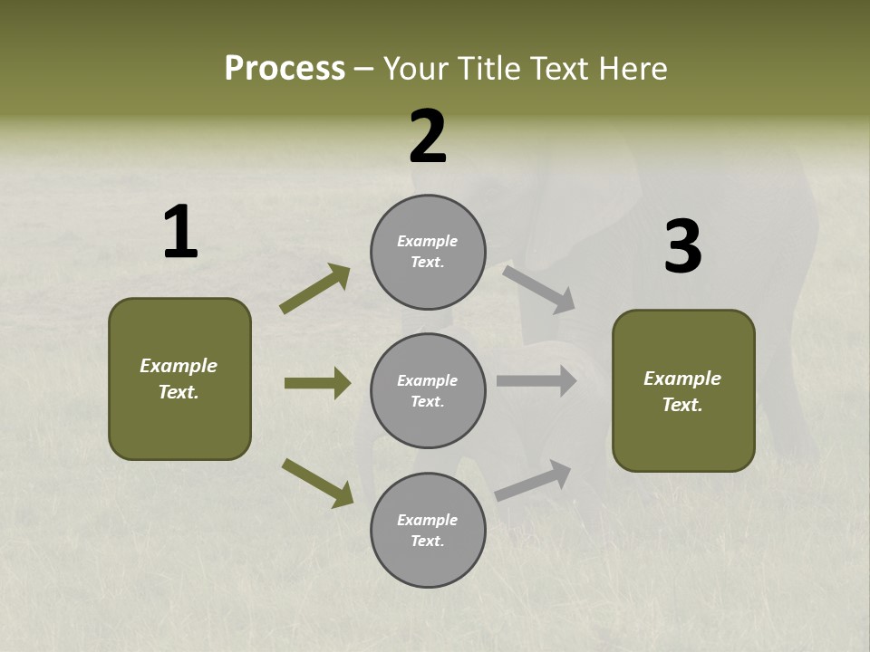 Grande Safari Elefante PowerPoint Template
