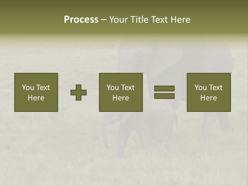 Grande Safari Elefante PowerPoint Template