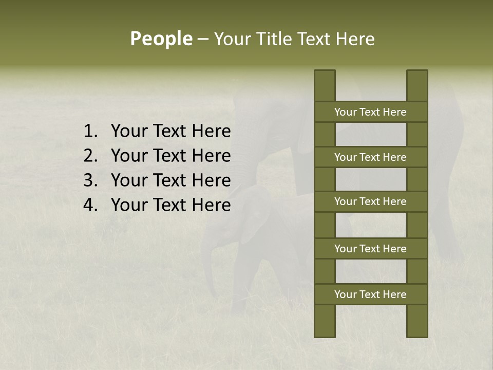 Grande Safari Elefante PowerPoint Template